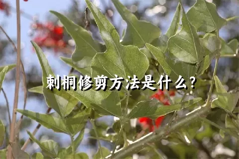 刺桐修剪方法是什么？