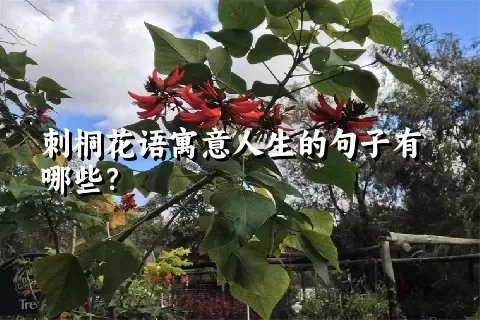 刺桐花语寓意人生的句子有哪些？