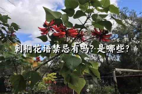 刺桐花语禁忌有吗？是哪些？