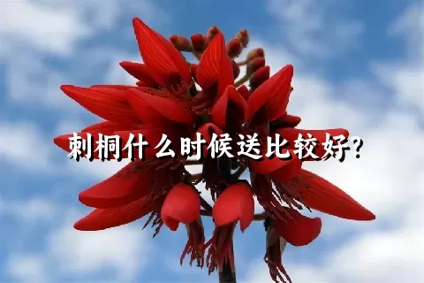 刺桐什么时候送比较好？