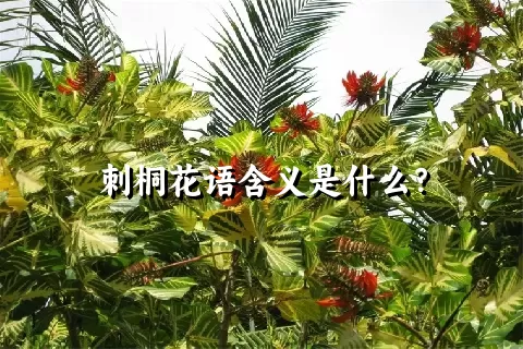 刺桐花语含义是什么？