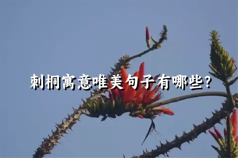 刺桐寓意唯美句子有哪些？