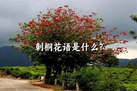 刺桐花语是什么？