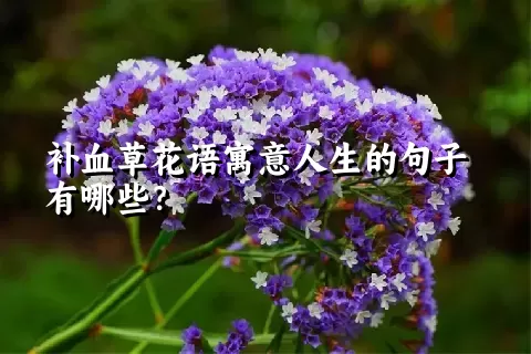 补血草花语寓意人生的句子有哪些？