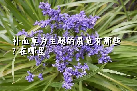 补血草为主题的展览有那些？在哪里