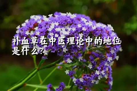 补血草在中医理论中的地位是什么？