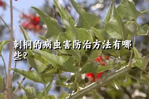 刺桐的病虫害防治方法有哪些？