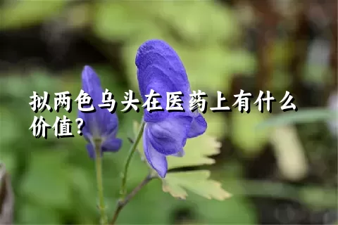 拟两色乌头在医药上有什么价值？