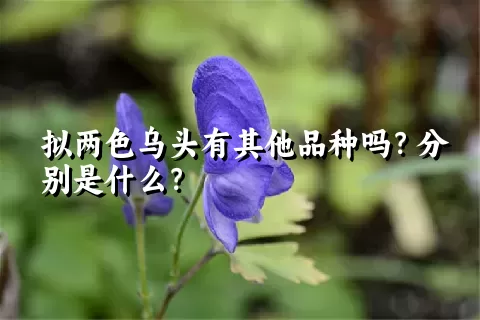 拟两色乌头有其他品种吗？分别是什么？