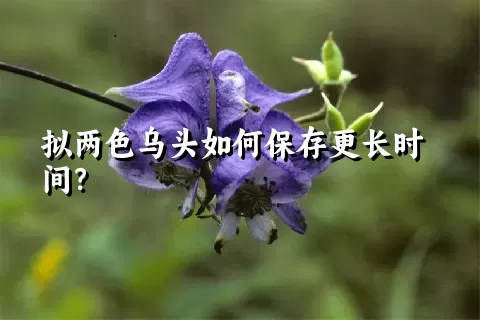 拟两色乌头如何保存更长时间？