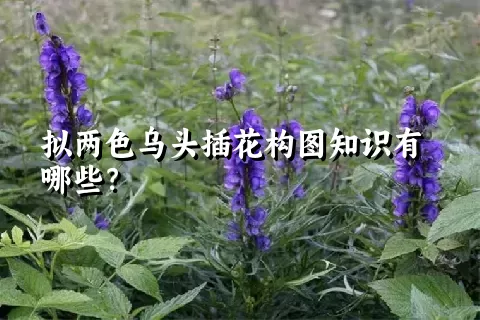 拟两色乌头插花构图知识有哪些？