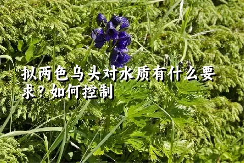 拟两色乌头对水质有什么要求？如何控制