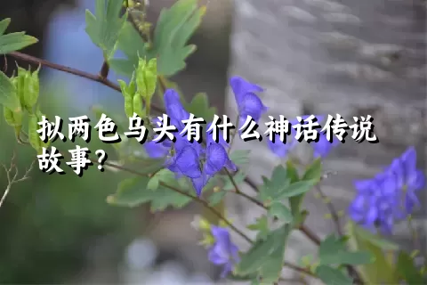 拟两色乌头有什么神话传说故事？