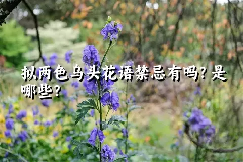 拟两色乌头花语禁忌有吗？是哪些？