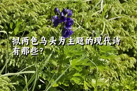 拟两色乌头为主题的现代诗有那些？