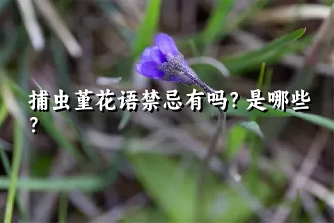 捕虫堇花语禁忌有吗？是哪些？