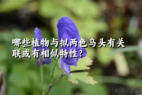 哪些植物与拟两色乌头有关联或有相似特性？