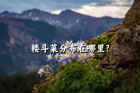 耧斗菜分布在哪里?