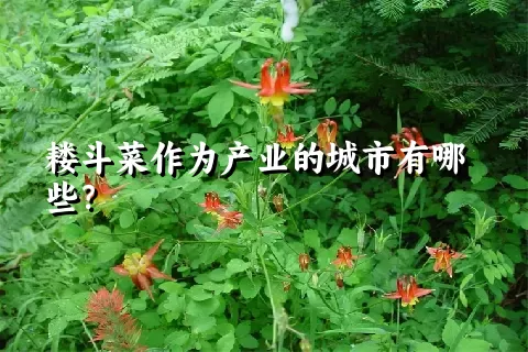 耧斗菜作为产业的城市有哪些？