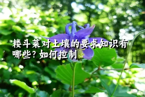 耧斗菜对土壤的要求知识有哪些？如何控制