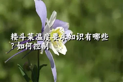 耧斗菜温度要求知识有哪些？如何控制