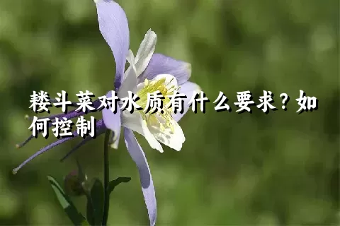 耧斗菜对水质有什么要求？如何控制