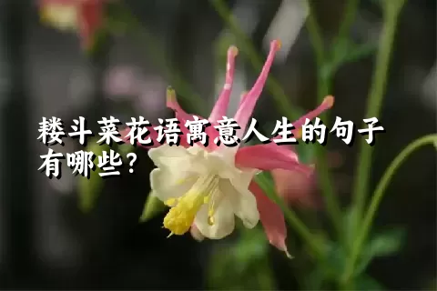 耧斗菜花语寓意人生的句子有哪些？