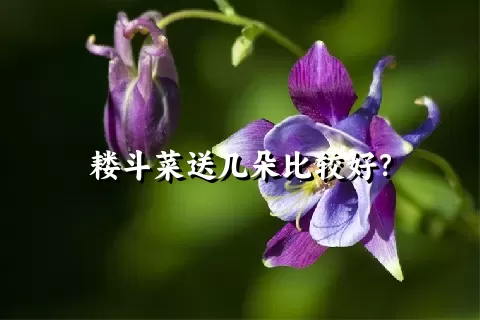 耧斗菜送几朵比较好？