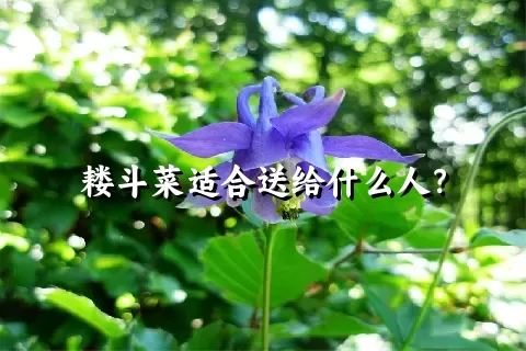 耧斗菜适合送给什么人？