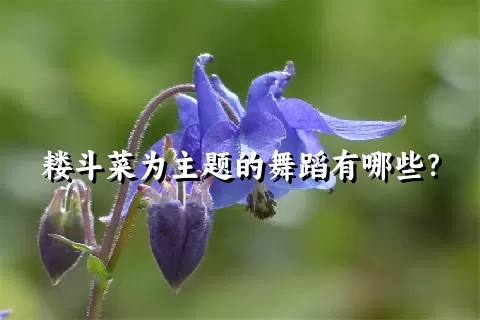 耧斗菜为主题的舞蹈有哪些？