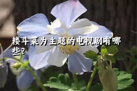 耧斗菜为主题的电视剧有哪些？