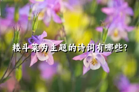 耧斗菜为主题的诗词有哪些？