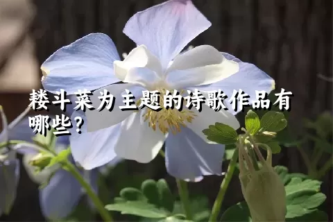 耧斗菜为主题的诗歌作品有哪些？