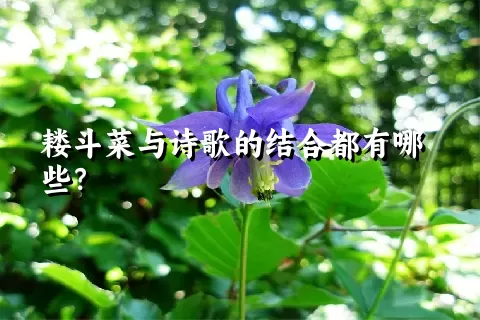 耧斗菜与诗歌的结合都有哪些？