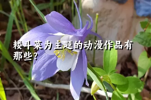 耧斗菜为主题的动漫作品有那些？