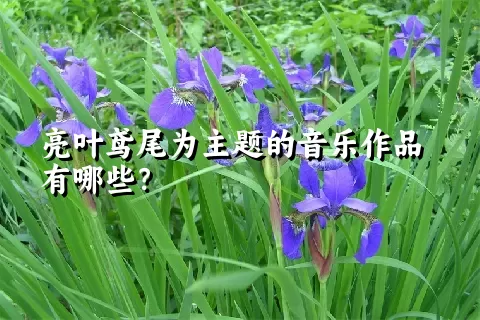 亮叶鸢尾为主题的音乐作品有哪些？