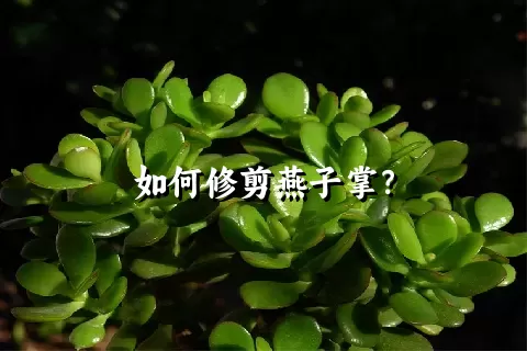 如何修剪燕子掌？