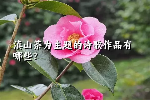 滇山茶为主题的诗歌作品有哪些？