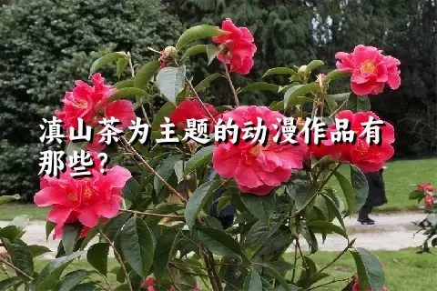 滇山茶为主题的动漫作品有那些？