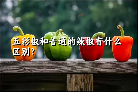 五彩椒和普通的辣椒有什么区别？