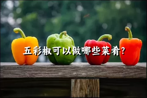 五彩椒可以做哪些菜肴？