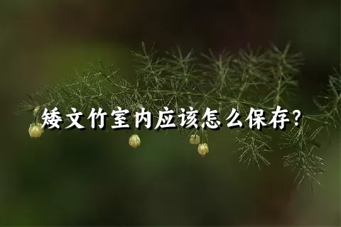 矮文竹室内应该怎么保存？