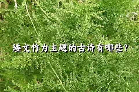 矮文竹为主题的古诗有哪些？