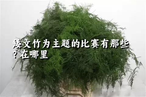 矮文竹为主题的比赛有那些？在哪里