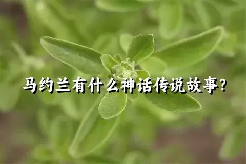 马约兰有什么神话传说故事？