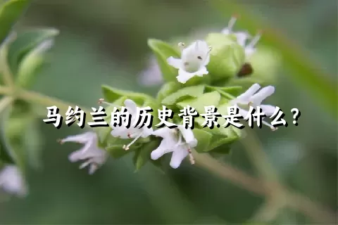 马约兰的历史背景是什么？