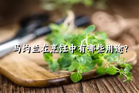 马约兰在烹饪中有哪些用途？